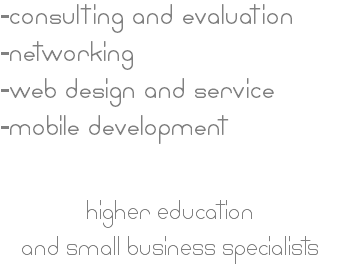 -consulting and evaluation
-networking
-web design and service
-mobile development higher education and small business specialists